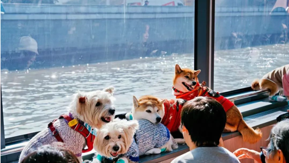 全年接待游客__2021春节接待游客