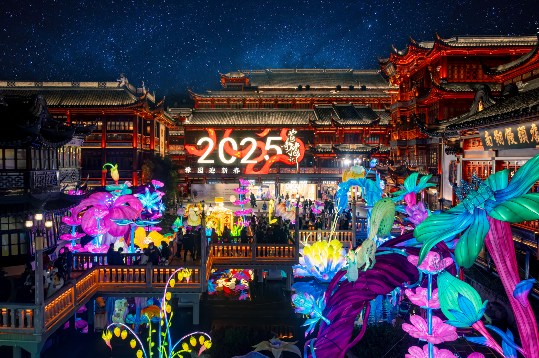 2021春节接待游客_全年接待游客_