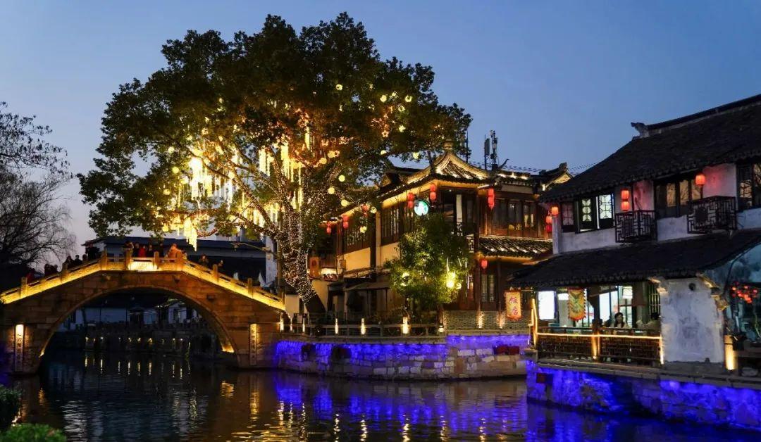 2021春节接待游客_全年接待游客_