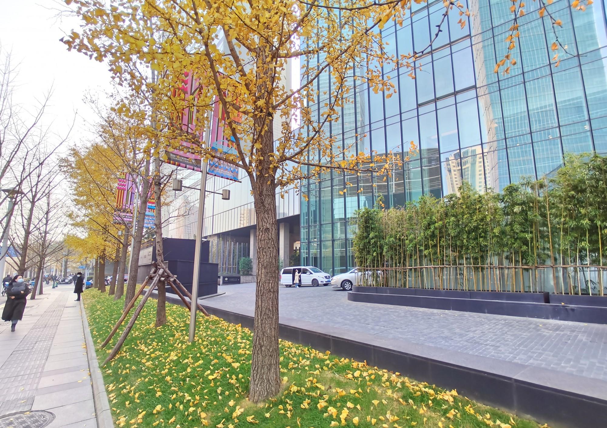 _静安广场招商电话_上海静安区招商