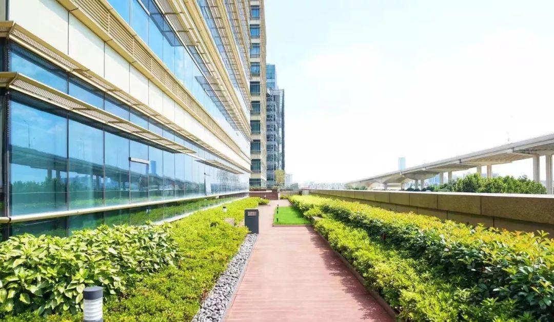 上海黄金大厦地址__上海黄金大厦为什么废弃